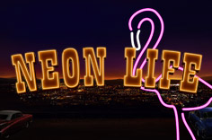 neon-life-150x150.jpeg